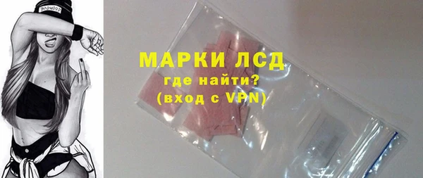 стаф Алексин