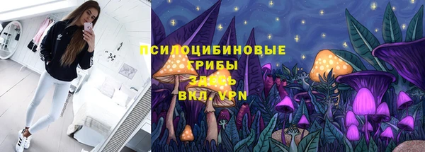 стаф Алексин