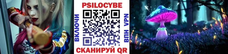 блэк спрут зеркало  Орлов  Псилоцибиновые грибы GOLDEN TEACHER 
